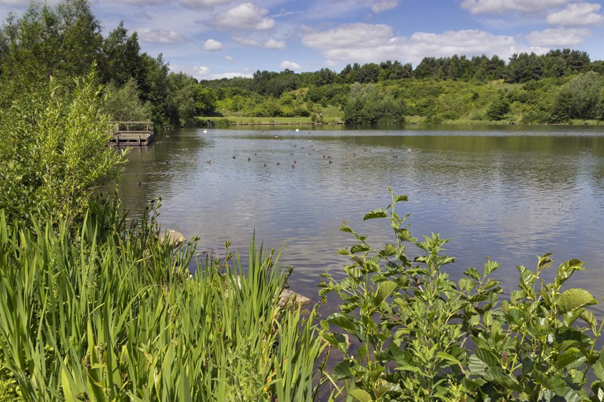 Holmebrook Valley Park