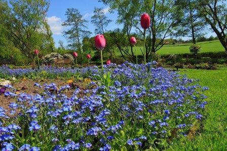 Crematorium gardens