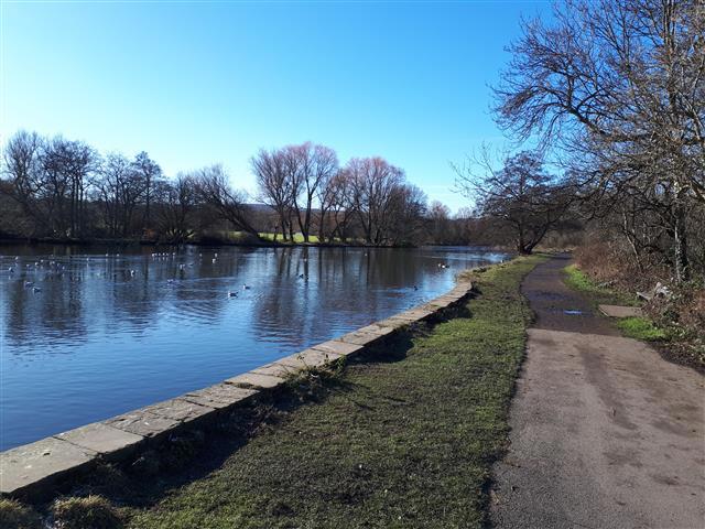 Walton Dam