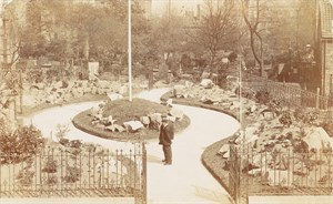 Alpine Gardens